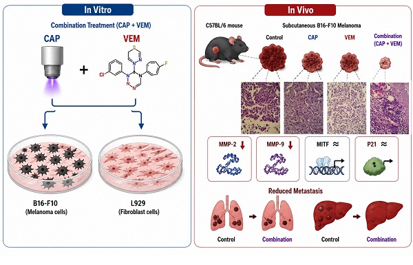 Combined cold atmospheric plasma and vemurafenib suppress MITF&ndash;P21 signaling and MMP‑driven metastasis in cutaneous melanoma 