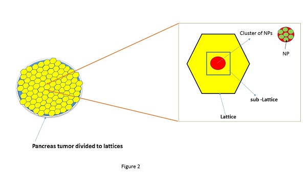 Radiosensitization effects of BaTiO₃ and gold nanoparticles in proton therapy of pancreatic tumors: A Monte Carlo study 